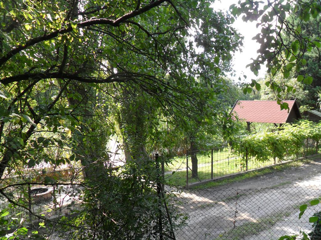 Ikerdio Fahaziko Villa Szarvas Exterior photo